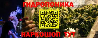 spice Гусь-Хрустальный