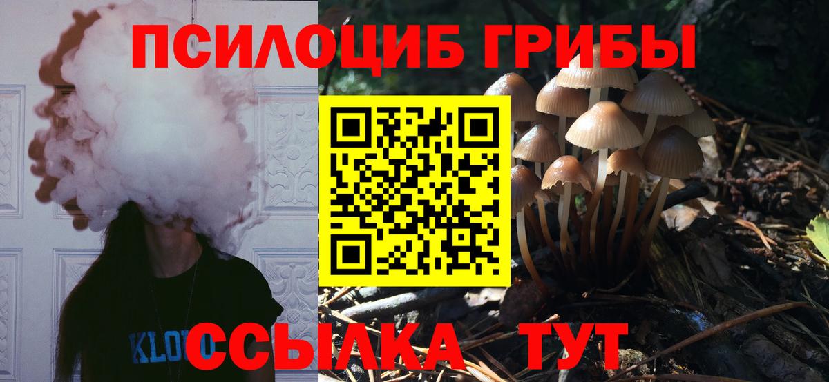 Галлюциногенные грибы прущие грибы Новошахтинск