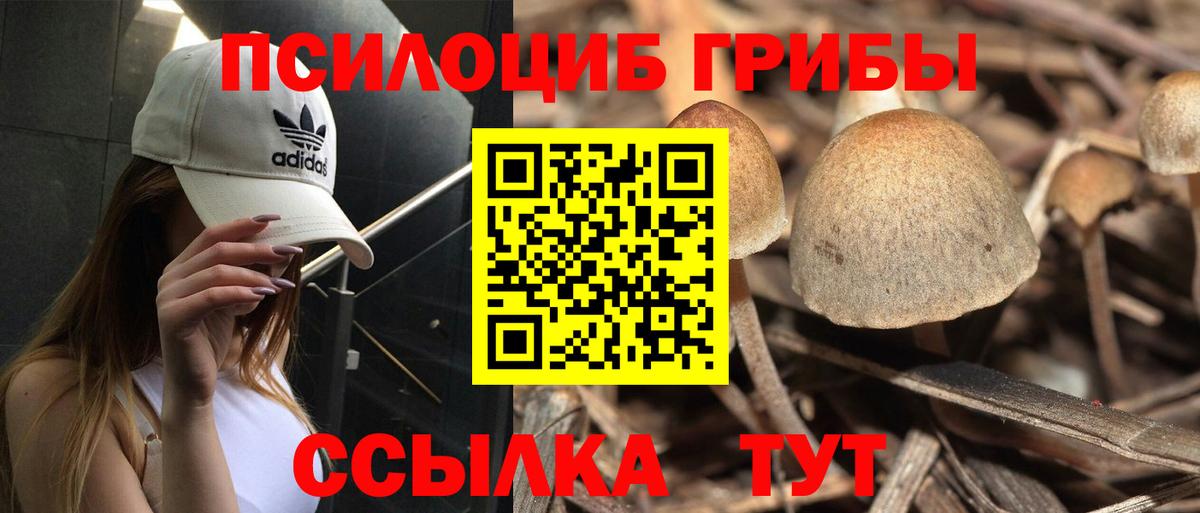 Новошахтинск  купить   Галлюциногенные грибы Magic Shrooms  Вход с VPN  Псилоцибиновые грибы Magic Shrooms 